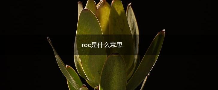 roc是什么意思,第1张