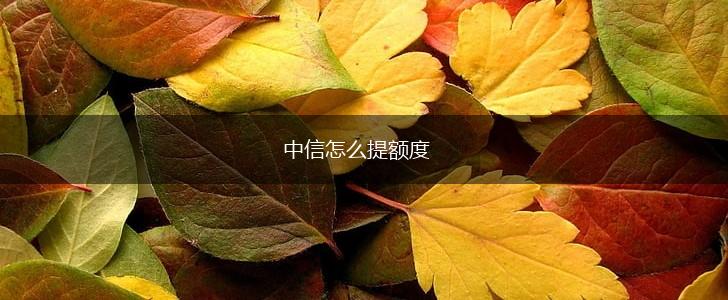 中信怎么提额度,第1张