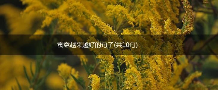 寓意越来越好的句子(共10句),第1张