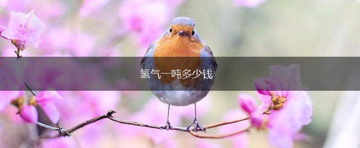 氢气一吨多少钱,第1张