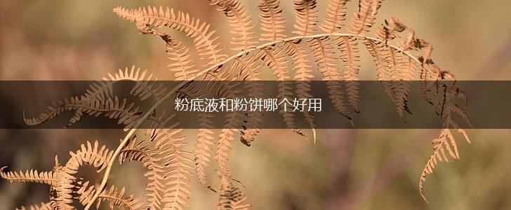 粉底液和粉饼哪个好用,第1张