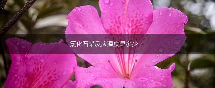 氯化石蜡反应温度是多少,第1张