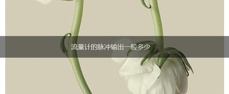 流量计的脉冲输出一般多少,第1张