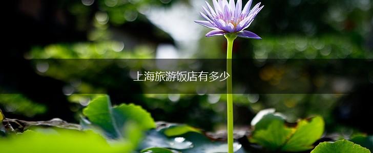 上海旅游饭店有多少,第1张