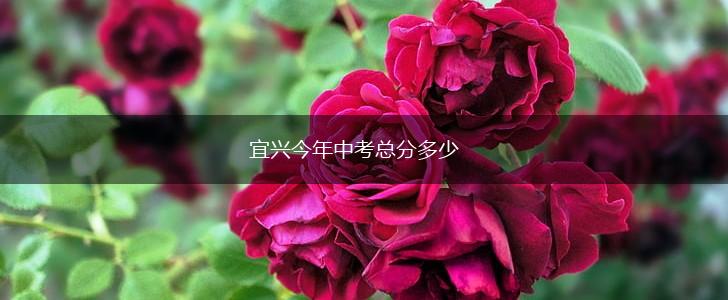 宜兴今年中考总分多少,第1张