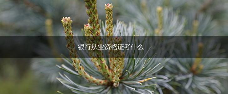 银行从业资格证考什么,第1张