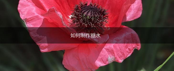 如何制作糖水,第1张