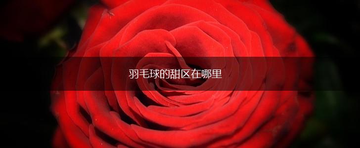 羽毛球的甜区在哪里,第1张