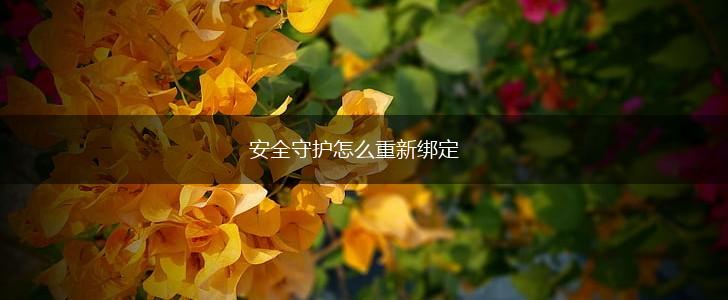 安全守护怎么重新绑定,第1张