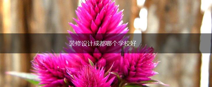 装修设计成都哪个学校好,第1张