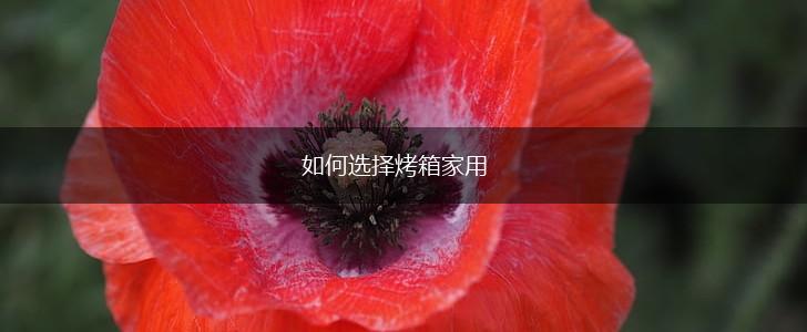 如何选择烤箱家用,第1张