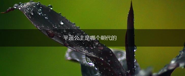 平遥公主是哪个朝代的,第1张