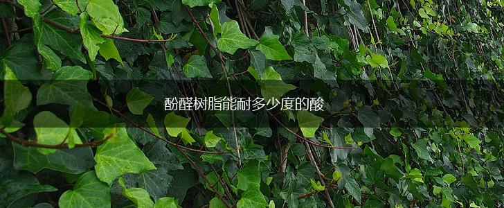 酚醛树脂能耐多少度的酸,第1张