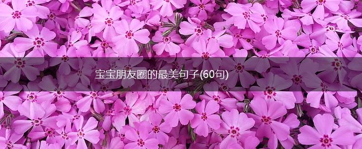 宝宝朋友圈的最美句子(60句),第1张