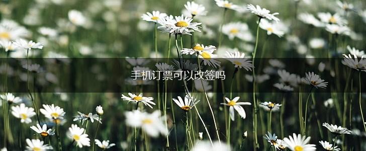 手机订票可以改签吗,第1张