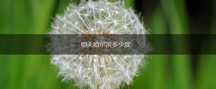 明天哈尔滨多少度,第1张