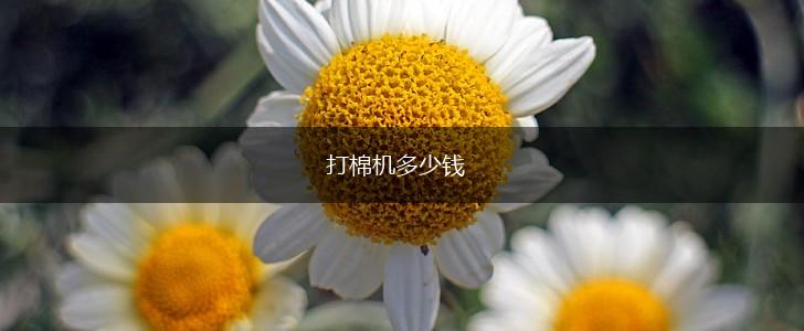 打棉机多少钱,第1张