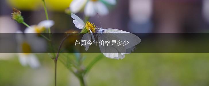 芦笋今年价格是多少,第1张
