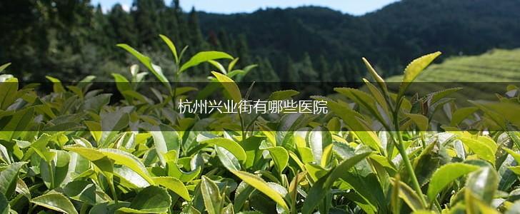 杭州兴业街有哪些医院,第1张