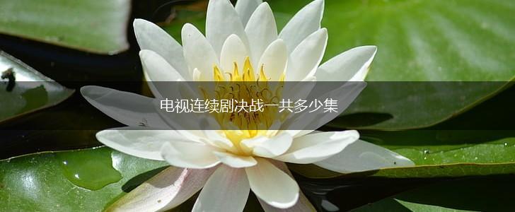 电视连续剧决战一共多少集,第1张