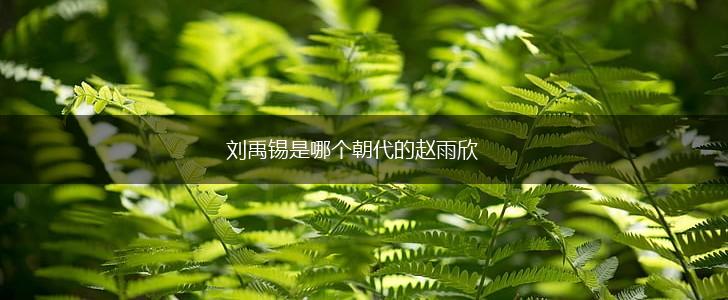 刘禹锡是哪个朝代的赵雨欣,第1张