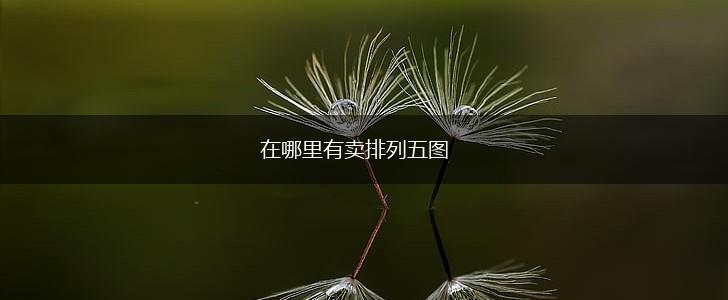 在哪里有卖排列五图,第1张