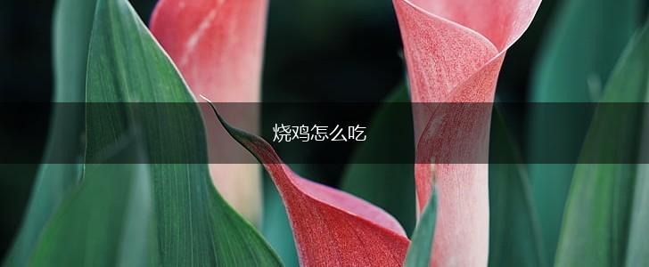 烧鸡怎么吃,第1张