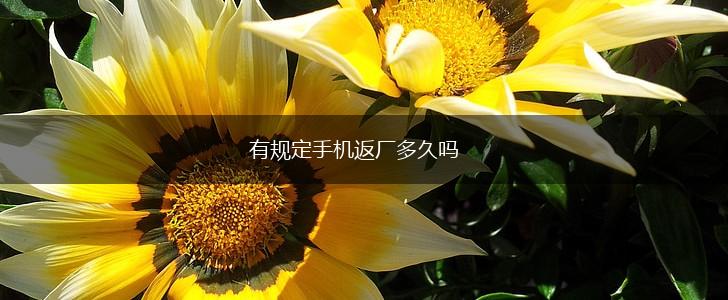 有规定手机返厂多久吗,第1张