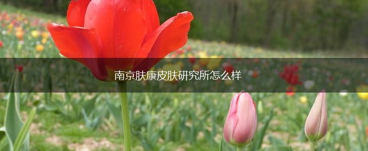 南京肤康皮肤研究所怎么样,第1张