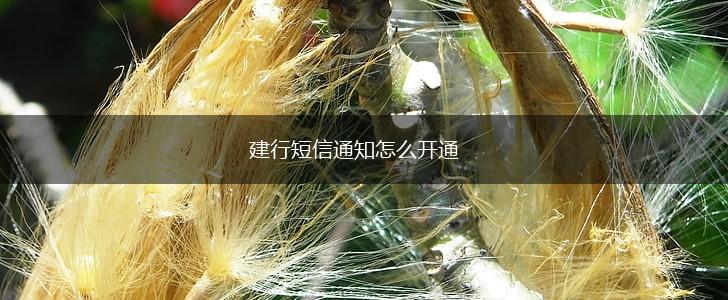建行短信通知怎么开通,第1张