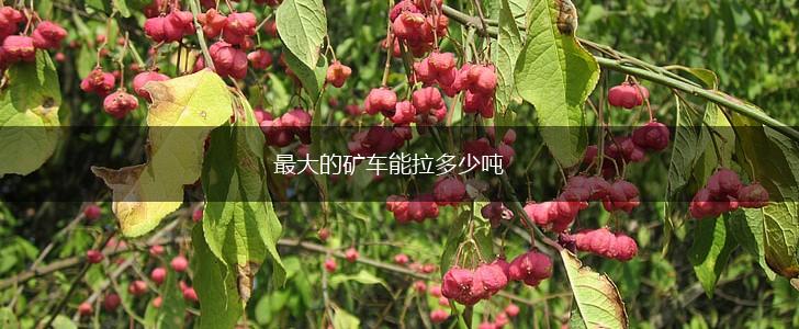 最大的矿车能拉多少吨,第1张