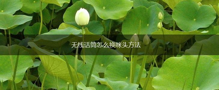 无线话筒怎么换咪头方法,第1张