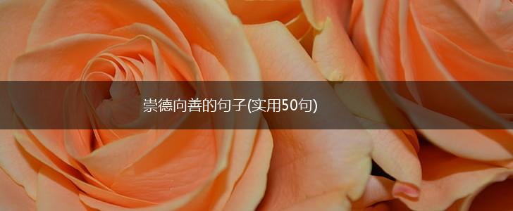 崇德向善的句子(实用50句),第1张