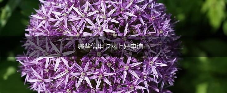 哪些信用卡网上好申请,第1张