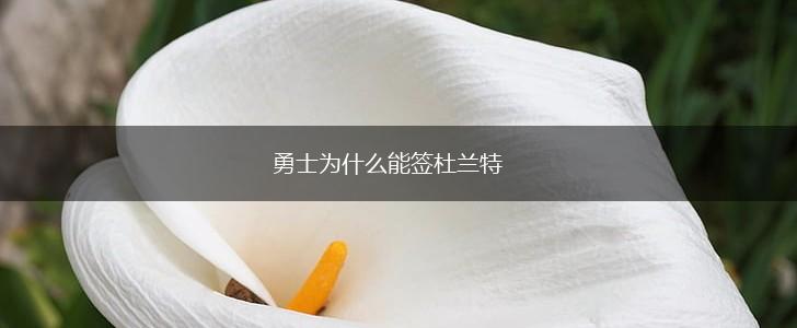 勇士为什么能签杜兰特,第1张