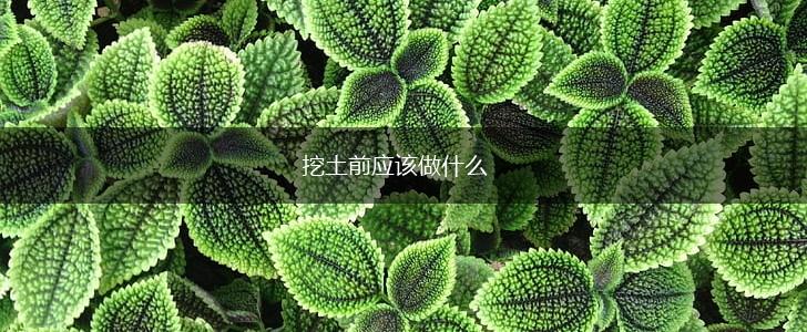 挖土前应该做什么,第1张