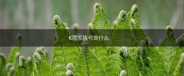 K歌家族号是什么,第1张