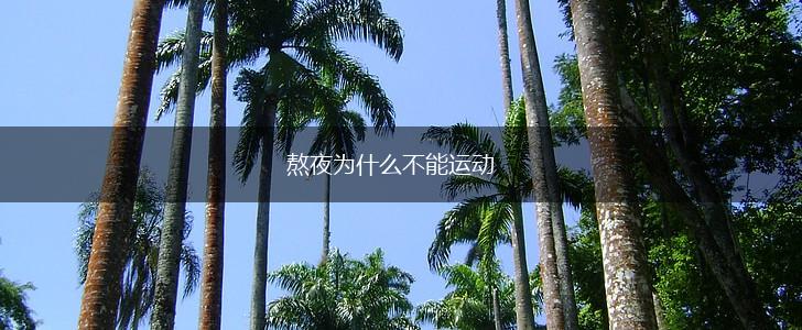 熬夜为什么不能运动,第1张