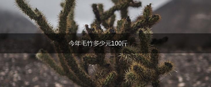 今年毛竹多少元100斤,第1张