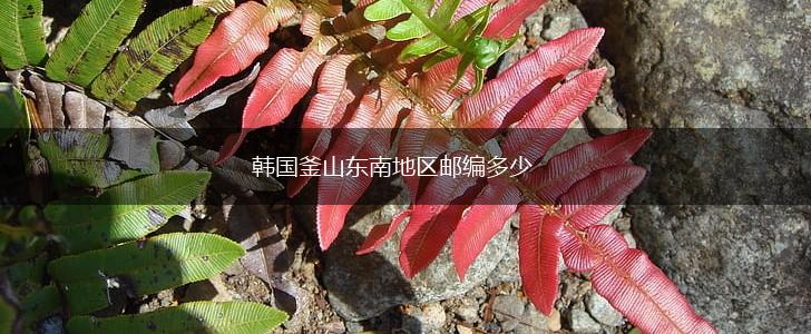 韩国釜山东南地区邮编多少,第1张
