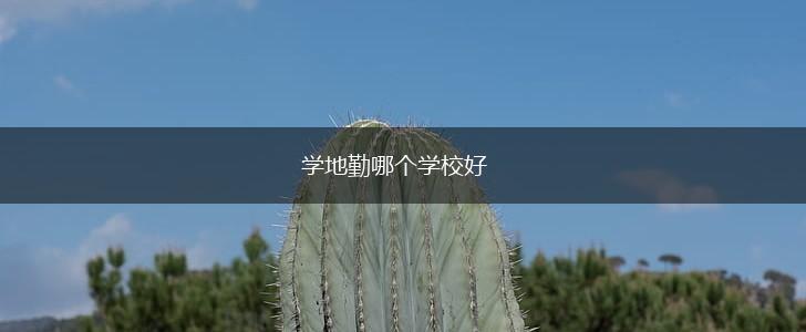 学地勤哪个学校好,第1张