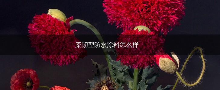 柔韧型防水涂料怎么样,第1张
