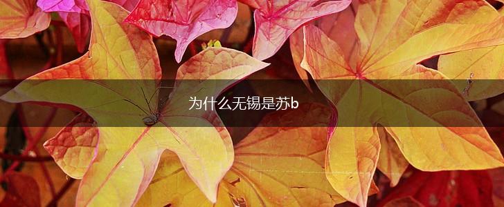 为什么无锡是苏b,第1张