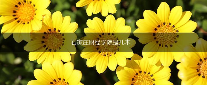 石家庄财经学院是几本,第1张