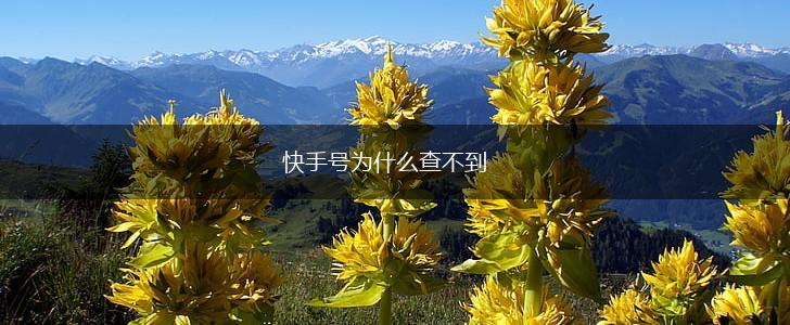 快手号为什么查不到,第1张