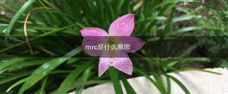 mrc是什么意思,第1张