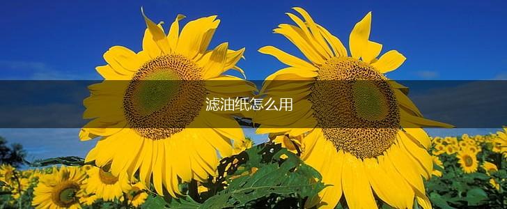 滤油纸怎么用,第1张