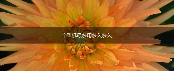一个手机最多用多久多久,第1张