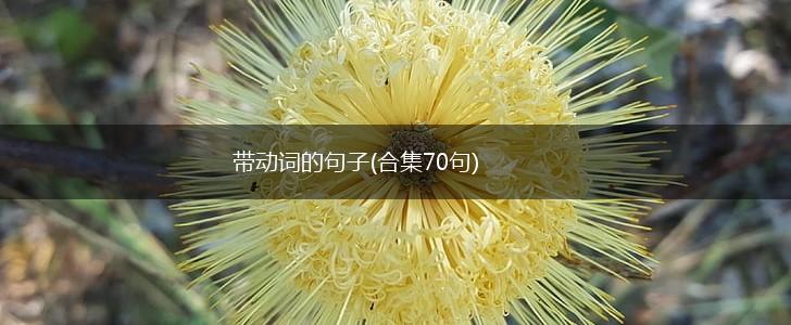 带动词的句子(合集70句),第1张