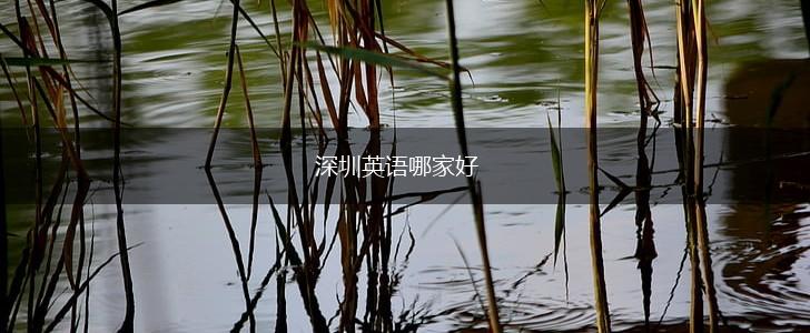 深圳英语哪家好,第1张